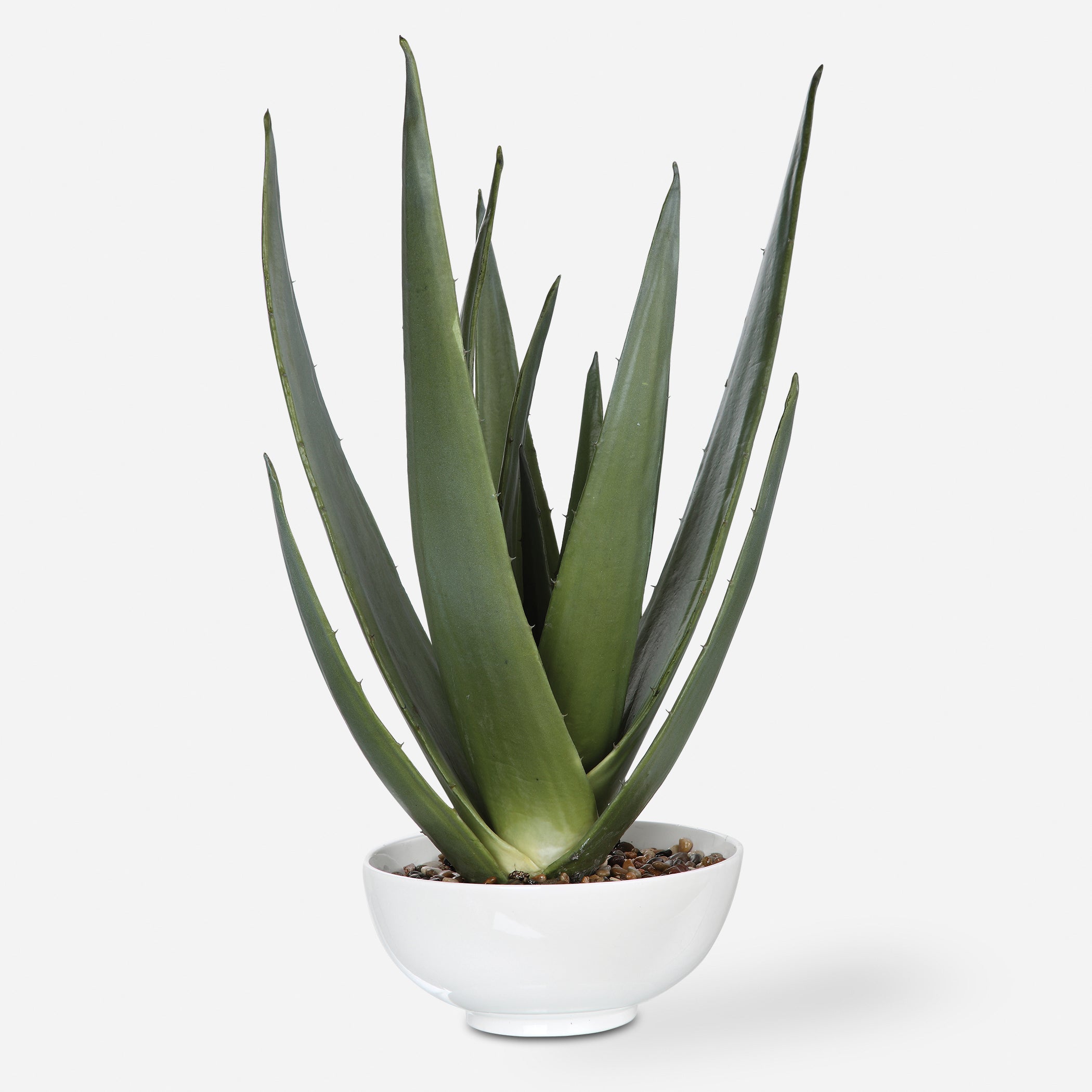 Uttermost Evarado Aloe Planter Décor/Home Accent Uttermost   