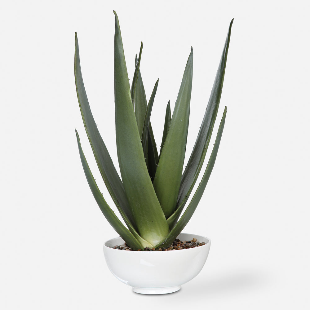 Uttermost Evarado Aloe Planter Decorative Accents Uttermost   