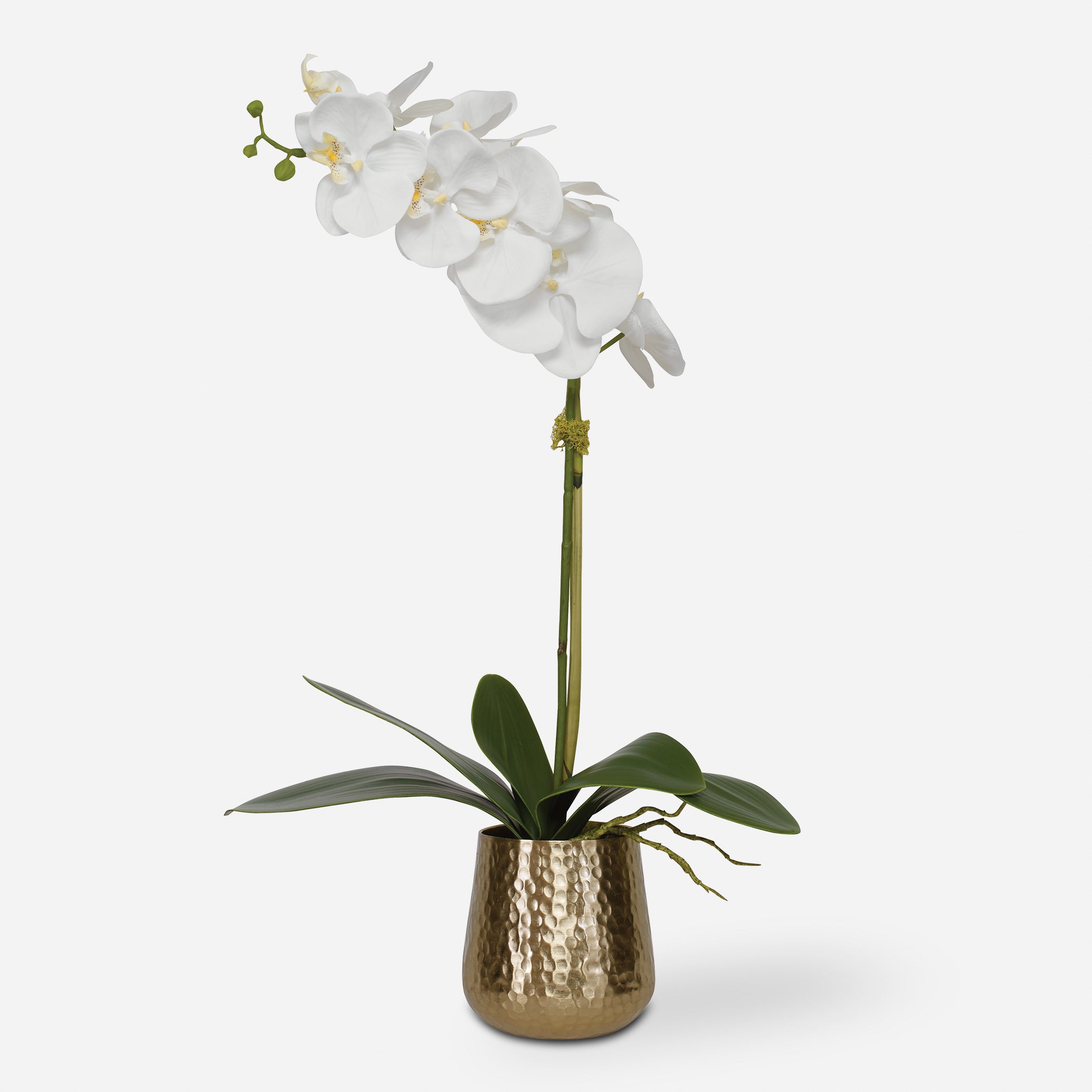 Uttermost Cami Orchid Artificial Flowers / Centerpiece Artificial Flowers / Centerpiece Uttermost   
