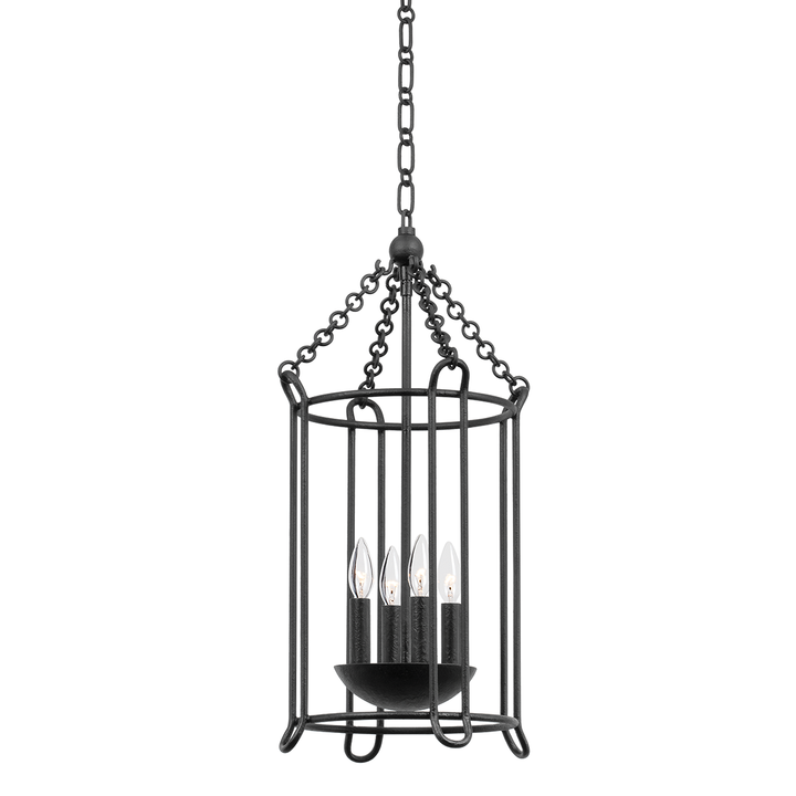 Troy Lighting LASSEN Lantern