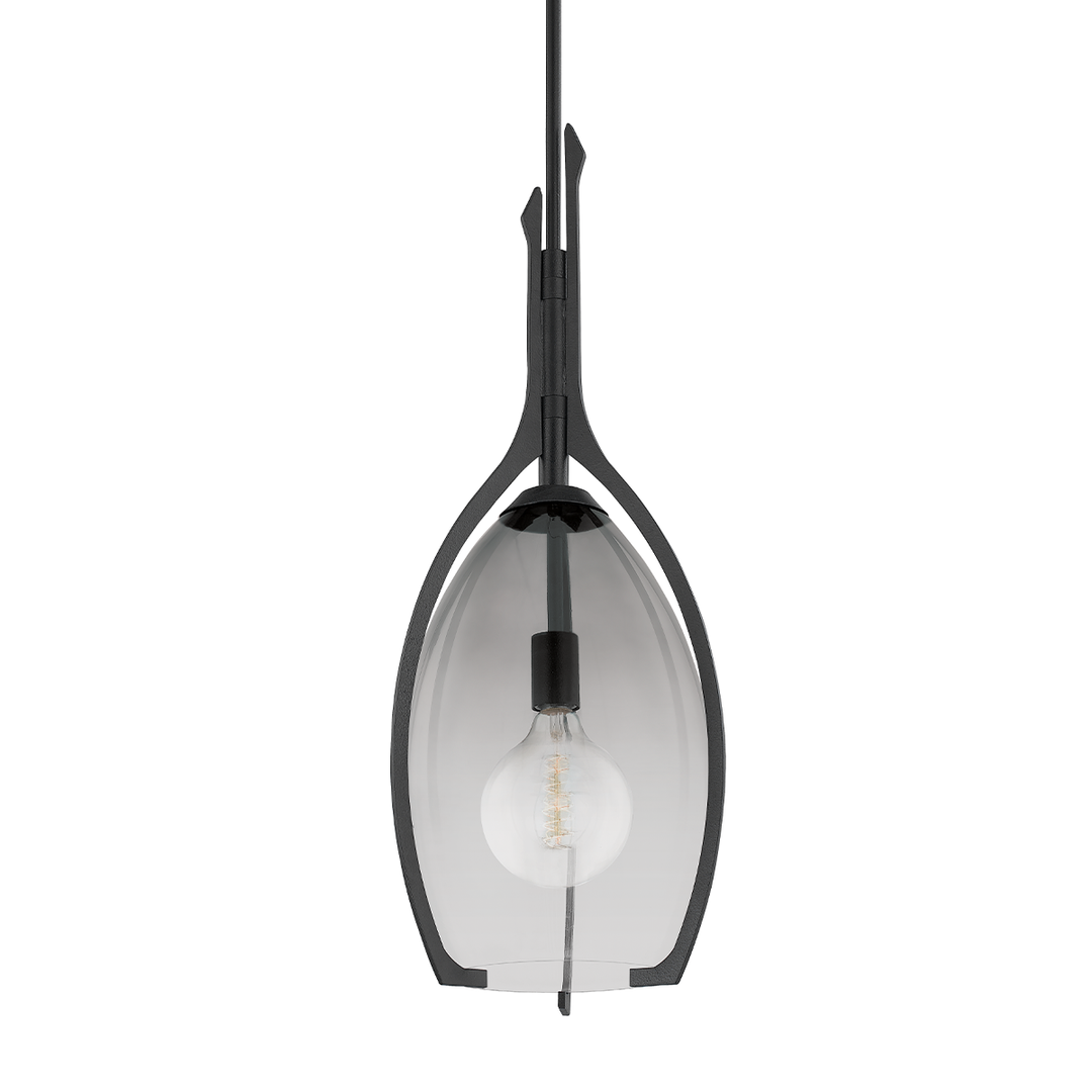 Troy Lighting Pacifica Pendant Pendants Troy Lighting FORGED IRON 12.5x12.5x31.25 