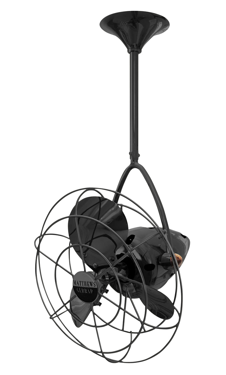 Matthews Fan Company Jarold Direcional Directional Ceiling Fan