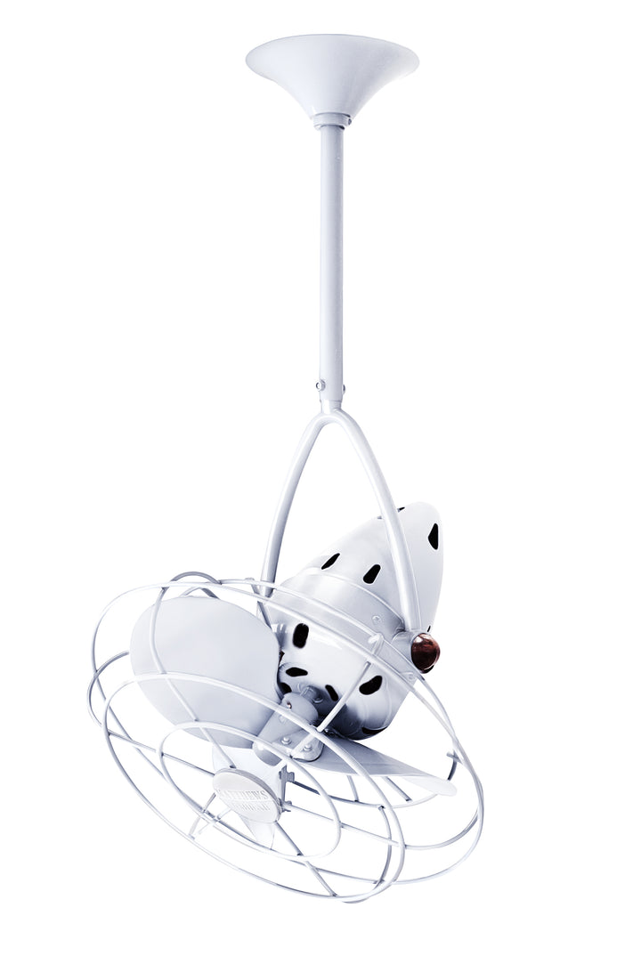 Matthews Fan Company Jarold Direcional Directional Ceiling Fan