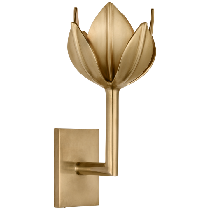 Visual Comfort & Co. Alberto Small Sconce