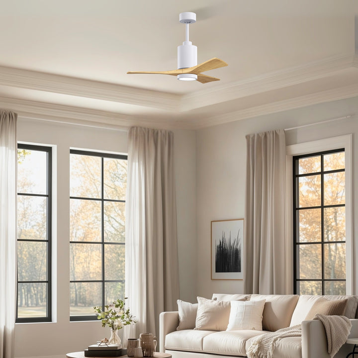 Matthews Fan Company Patricia-3 42" Ceiling Fan