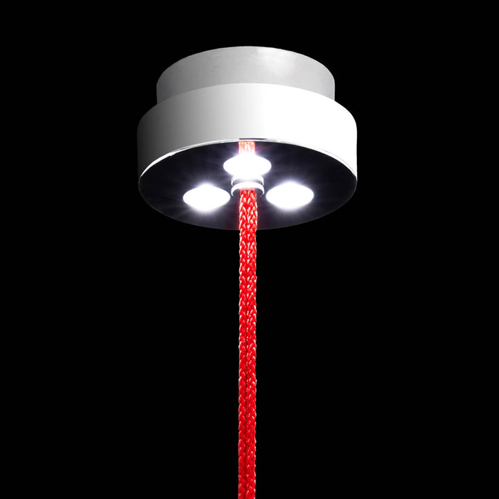 Schonbek Forever Addesion Mini Pendant