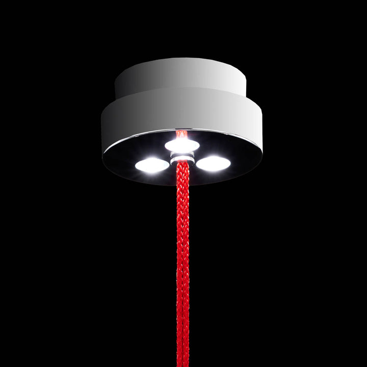 Schonbek Forever Flora Mini Pendant