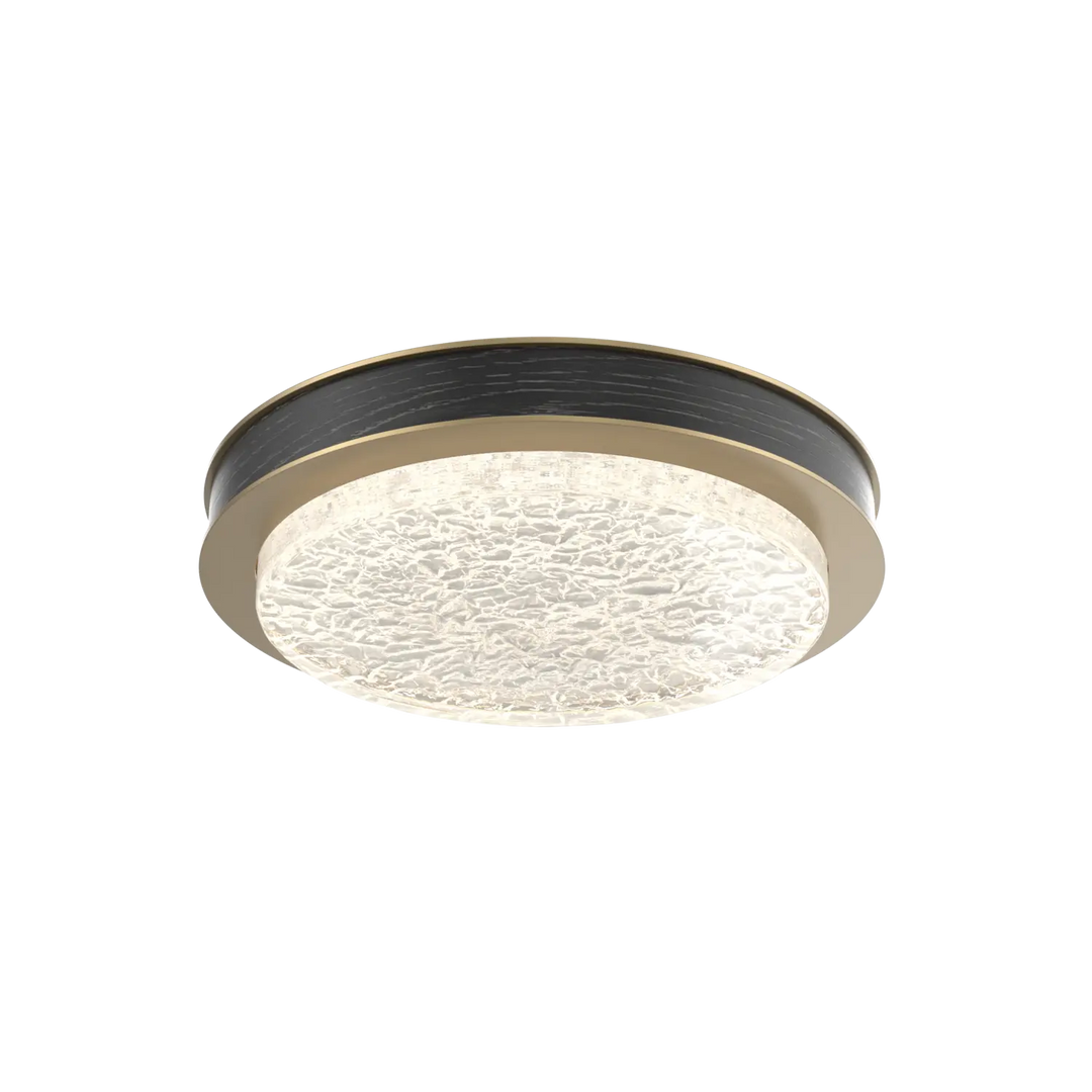 Hammerton Studio Iris Large Sconce / Flush Mount Gilded Brass / Dark Oak Wood