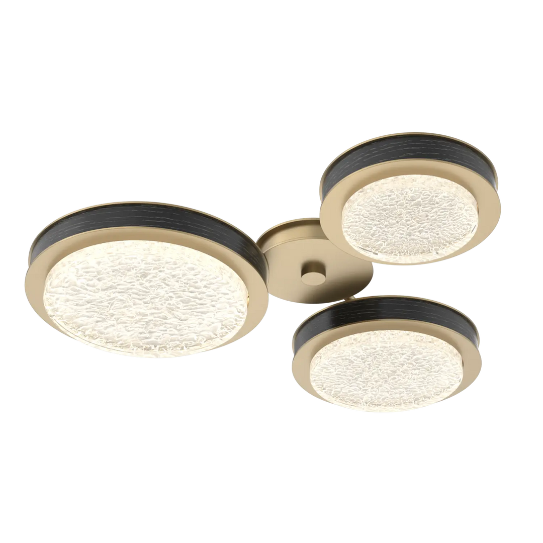 Hammerton Studio Iris Round Hub & Spoke Gilded Brass / 3-Piece / Dark Oak Wood