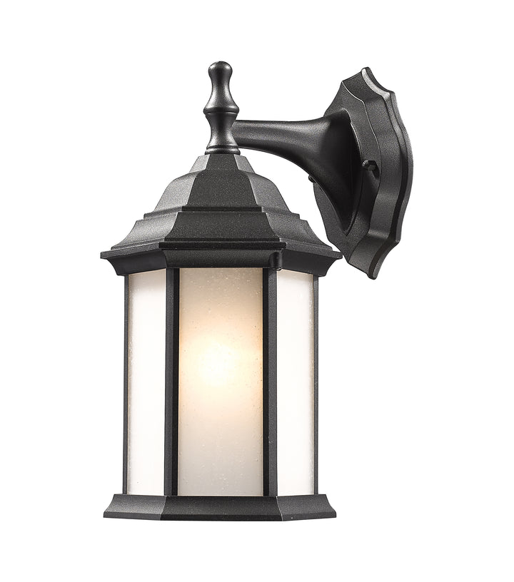 Z-Lite Waterdown T21-BK-F 1 Light Outdoor Wall Light