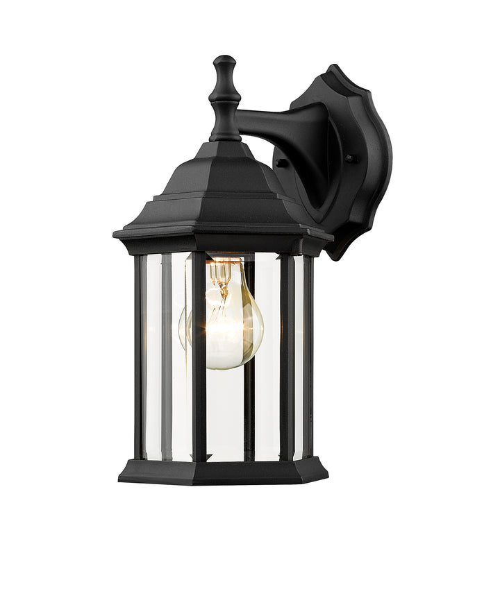Z-Lite Waterdown T21BK 1 Light Outdoor Wall Light