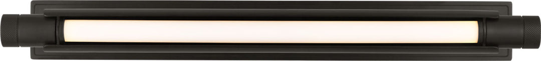 Visual Comfort Modern (formerly Tech Lighting) Capa Picture Light