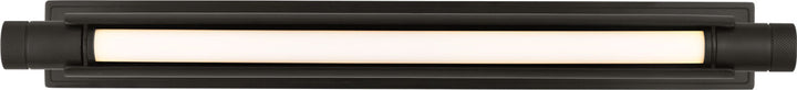 Visual Comfort Modern (formerly Tech Lighting) Capa Picture Light