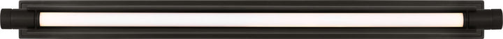 Visual Comfort Modern (formerly Tech Lighting) Capa Picture Light