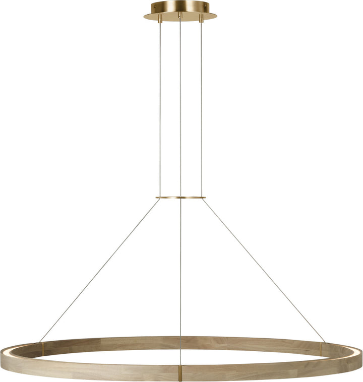 Visual Comfort Modern Ashok Chandelier