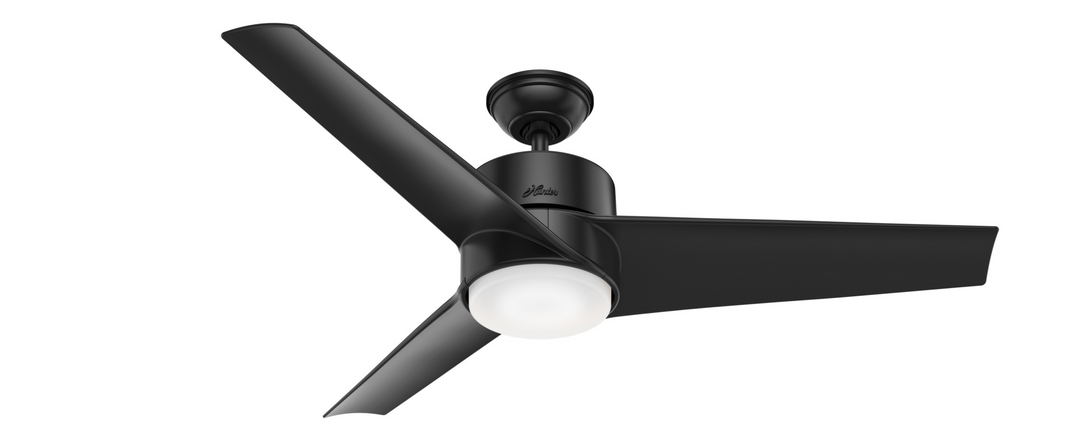 Hunter 54 inch Havoc Indoor / Outdoor Ceiling Fan with LED Light Kit and Wall Control Indoor Ceiling Fans Hunter   