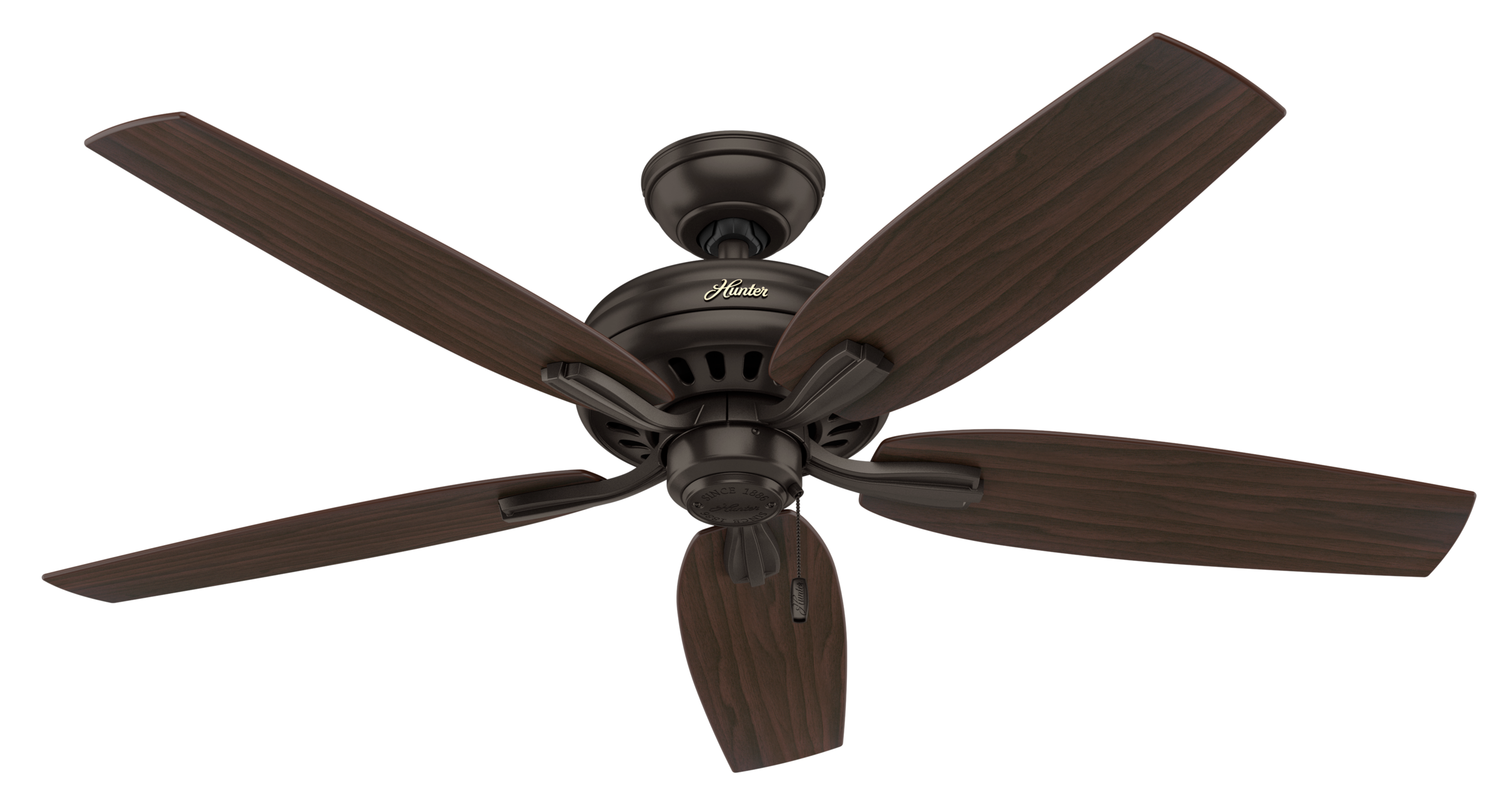 Hunter 52 inch Newsome Ceiling Fan
