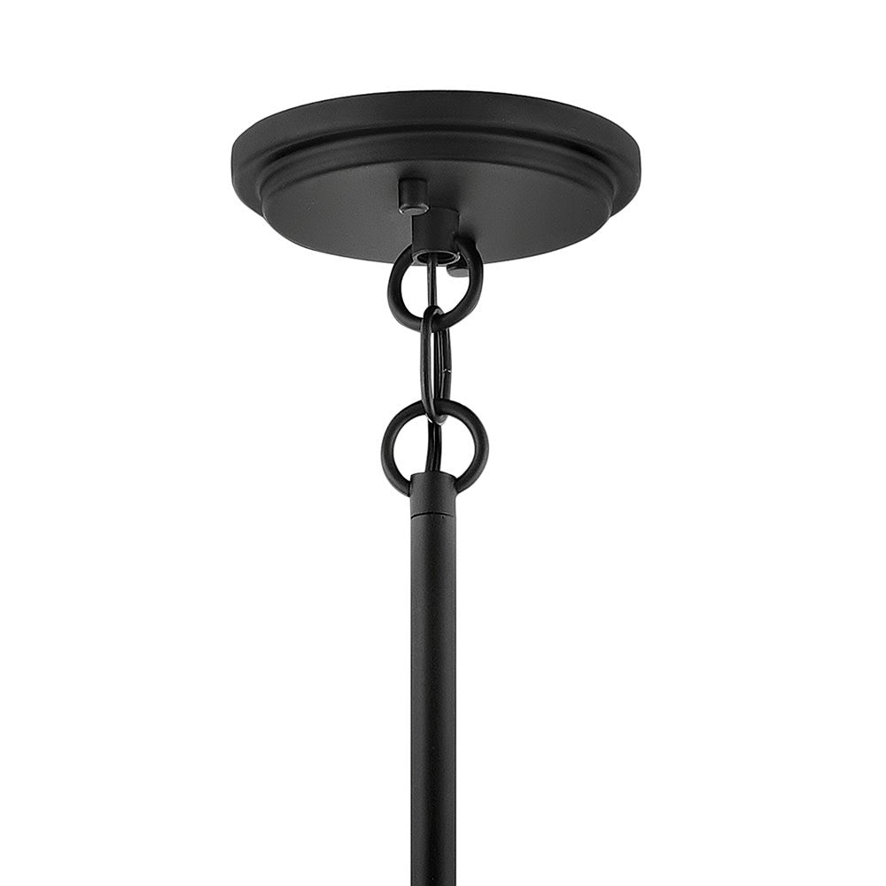 Hinkley Alder Outdoor Hanging Light