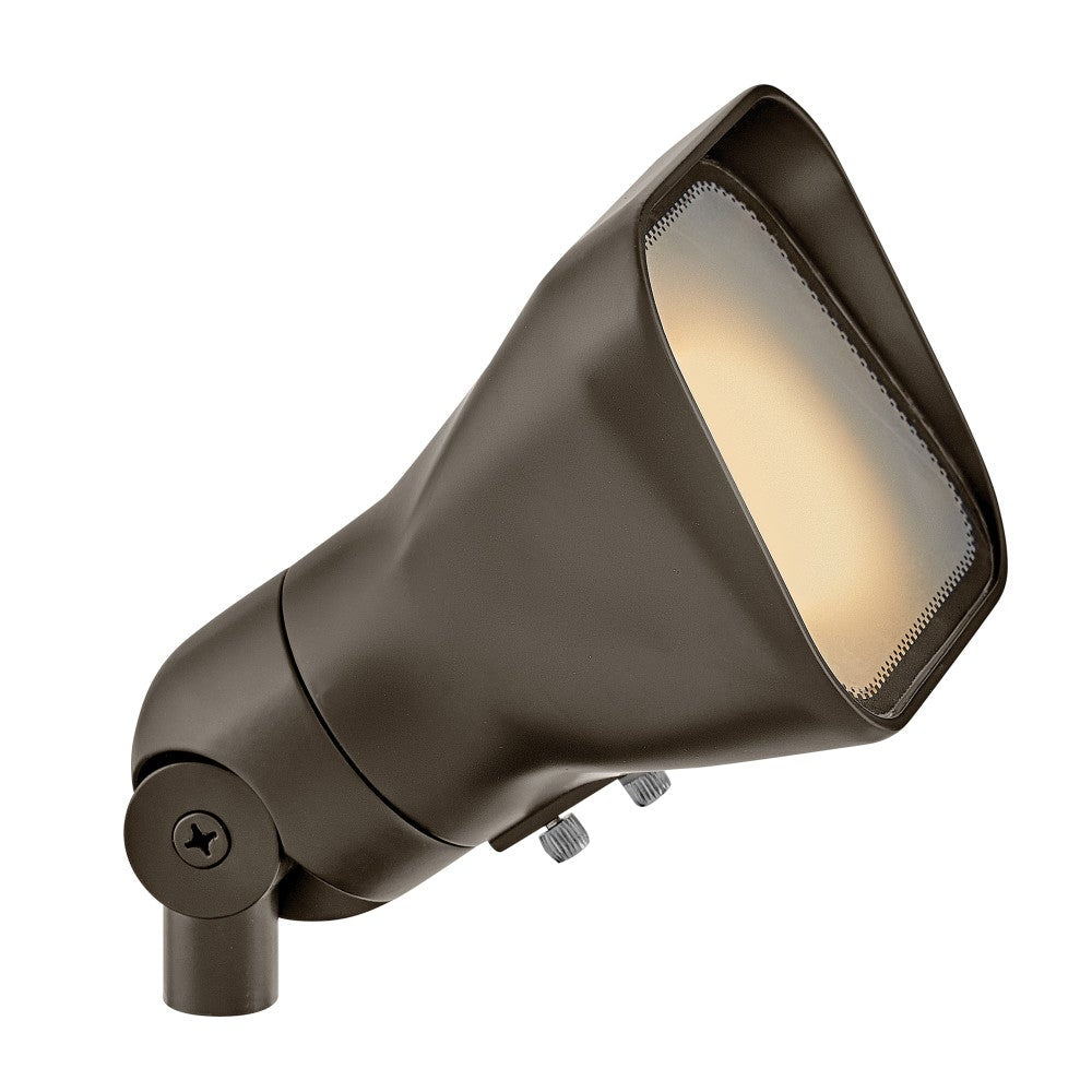 Hinkley Accent Flood Light