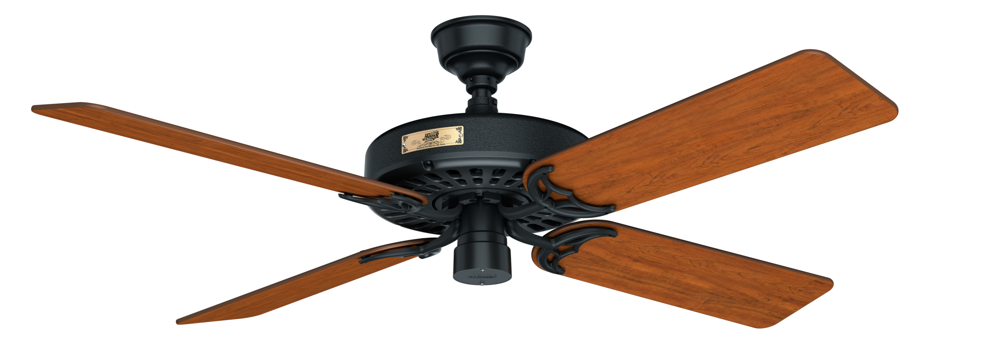 Hunter 52 inch Hunter Original Damp Rated Ceiling Fan and Pull Chain
