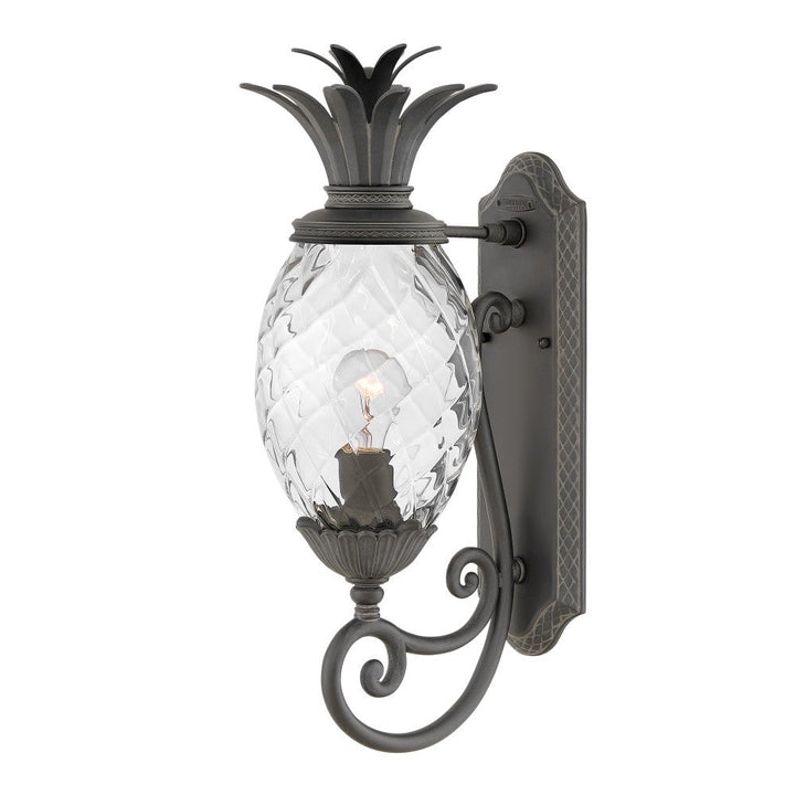 Hinkley Plantation Outdoor Wall Light