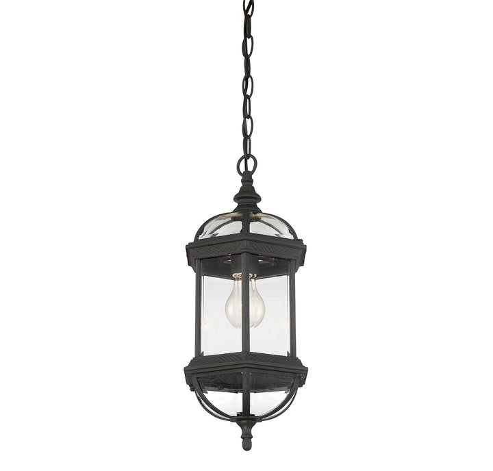 Savoy House Kensington 1-Light Outdoor Hanging Lantern - Model 5-0631-BK