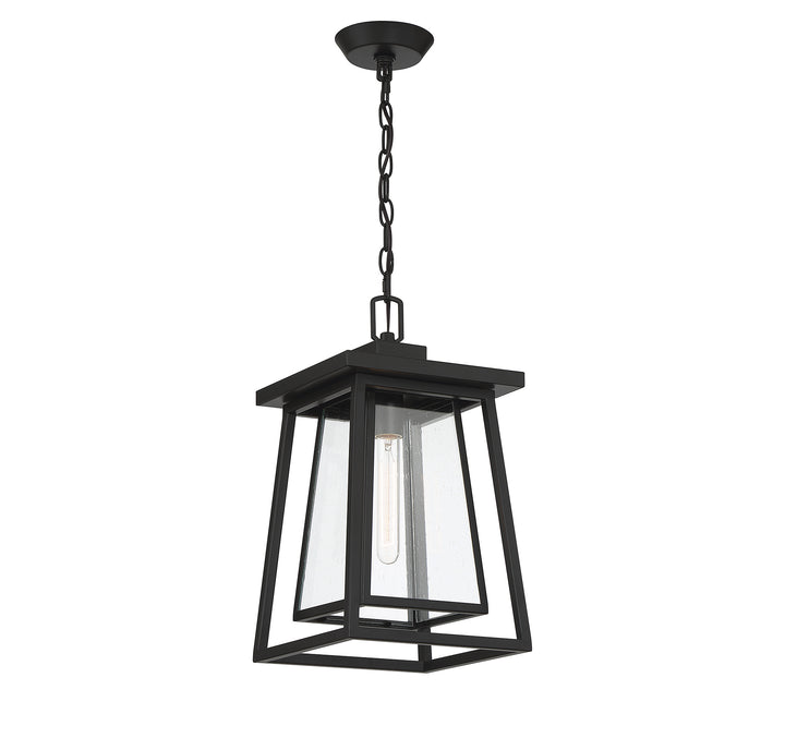 Savoy House Denver 1-Light Outdoor Hanging Lantern - Model 5-2025-BK