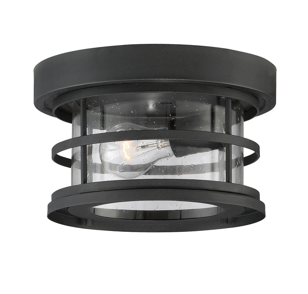 Savoy House Barrett 1-Light Outdoor Flush Mount - Model 5-369-10-BK