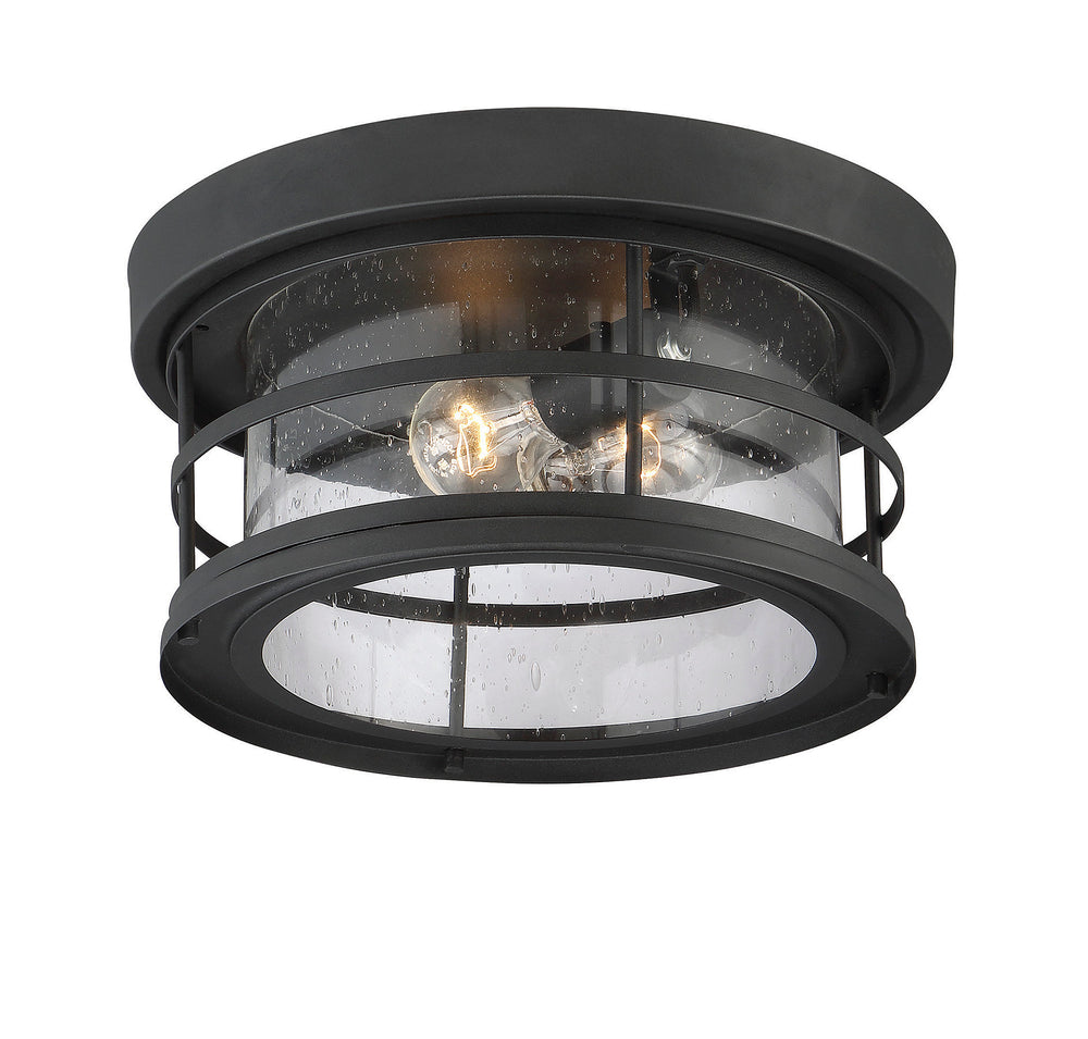 Savoy House Barrett 2-Light Outdoor Flush Mount - Model 5-369-13-BK
