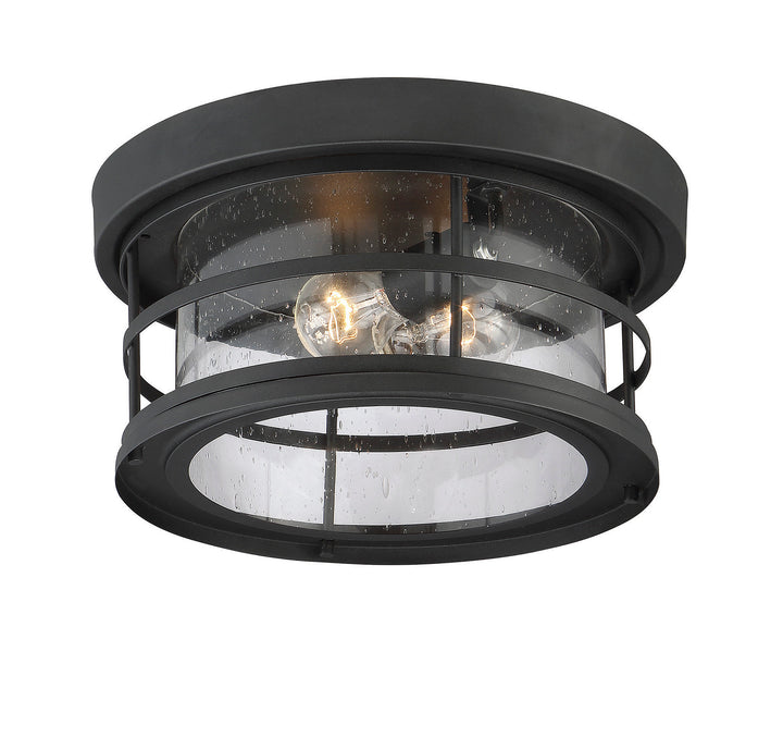 Savoy House Barrett 2-Light Outdoor Flush Mount - Model 5-369-13-BK