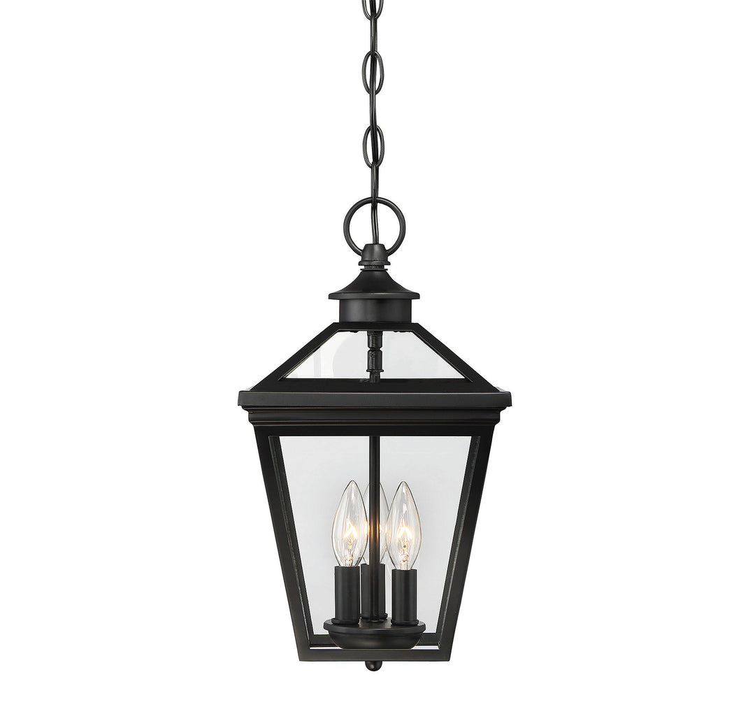 Savoy House Ellijay 3-Light Outdoor Hanging Lantern - Model 5-146