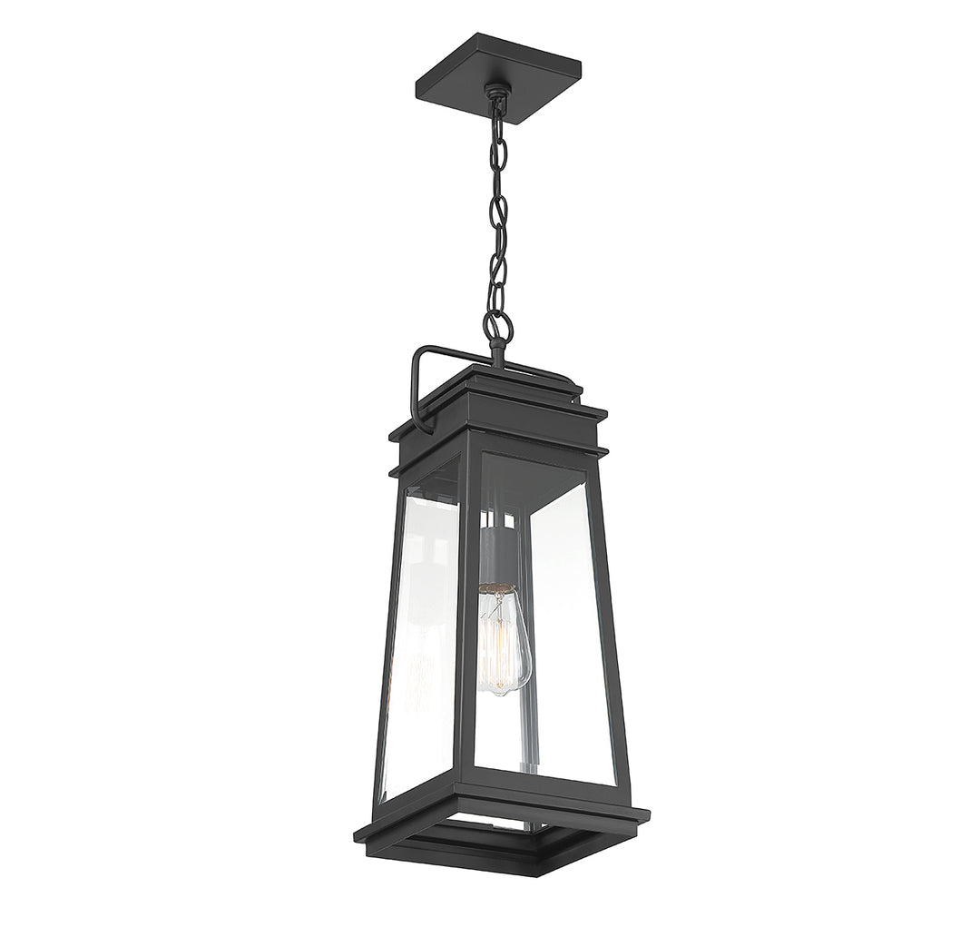 Savoy House Boone 1-Light Outdoor Hanging Lantern - Model 5-816-BK