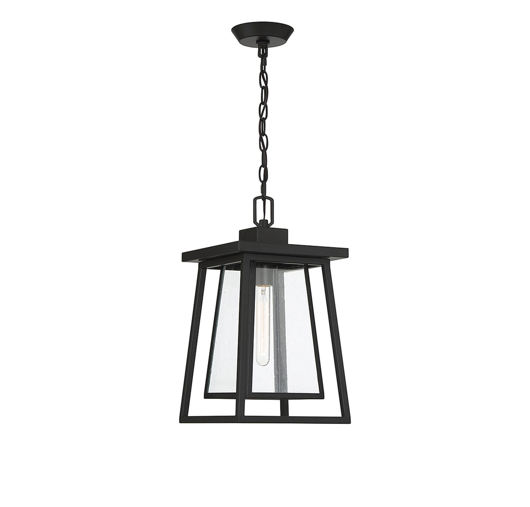 Savoy House Denver 1-Light Outdoor Hanging Lantern - Model 5-2025-BK