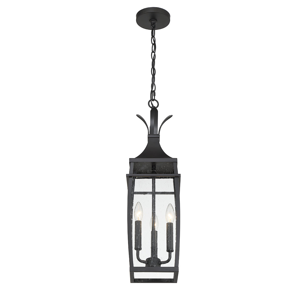 Savoy House Montpelier 3-Light Outdoor Hanging Lantern - Model 5-763-BK