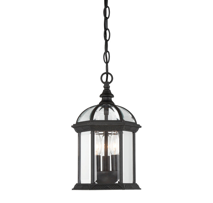 Savoy House Kensington 3-Light Outdoor Hanging Lantern - Model 5-0635-BK