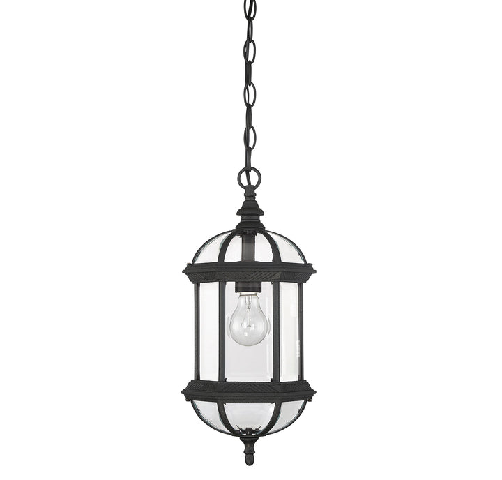 Savoy House Kensington 1-Light Outdoor Hanging Lantern - Model 5-0631-BK