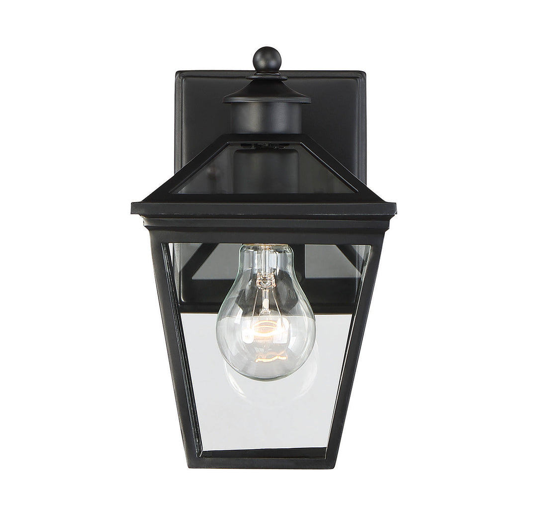 Savoy House Ellijay Outdoor Wall Lantern in Black