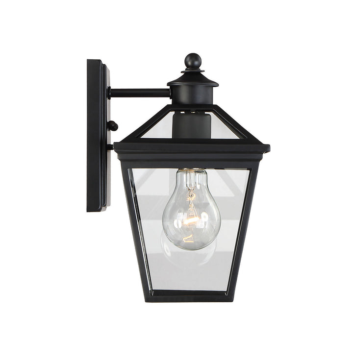 Savoy House Ellijay Outdoor Wall Lantern in Black