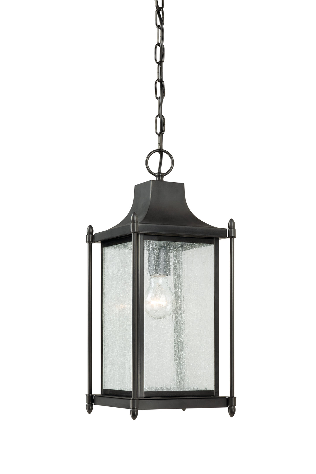 Savoy House Dunnmore 1-Light Outdoor Hanging Lantern - Model 5-3455-BK