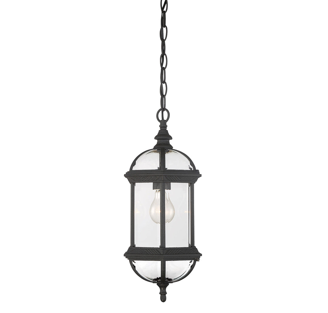 Savoy House Kensington 1-Light Outdoor Hanging Lantern - Model 5-0631-BK