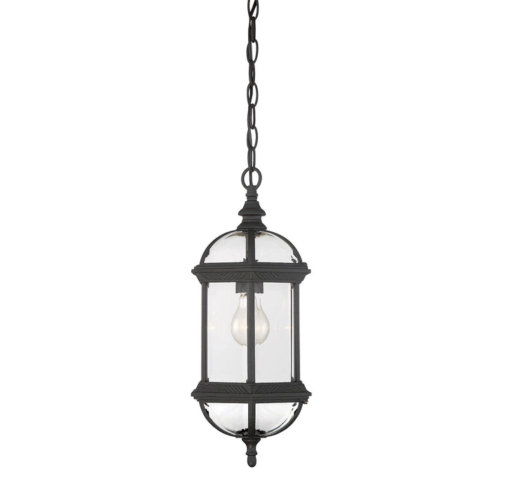 Savoy House Kensington 1-Light Outdoor Hanging Lantern - Model 5-0631-BK