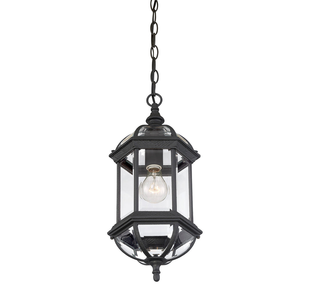 Savoy House Kensington 1-Light Outdoor Hanging Lantern - Model 5-0631-BK