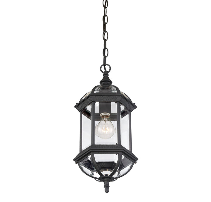 Savoy House Kensington 1-Light Outdoor Hanging Lantern - Model 5-0631-BK