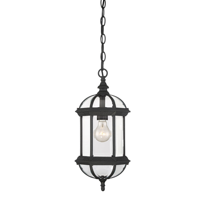 Savoy House Kensington 1-Light Outdoor Hanging Lantern - Model 5-0631-BK