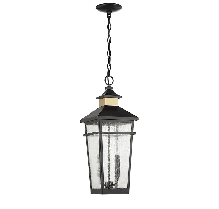 Savoy House Kingsley 2-Light Outdoor Hanging Lantern - Model 5-717-143