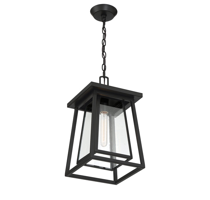 Savoy House Denver 1-Light Outdoor Hanging Lantern - Model 5-2025-BK