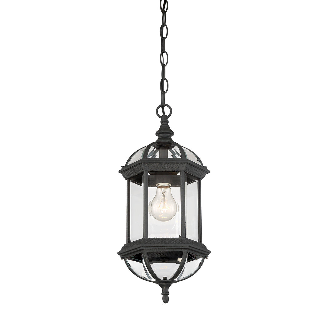 Savoy House Kensington 1-Light Outdoor Hanging Lantern - Model 5-0631-BK
