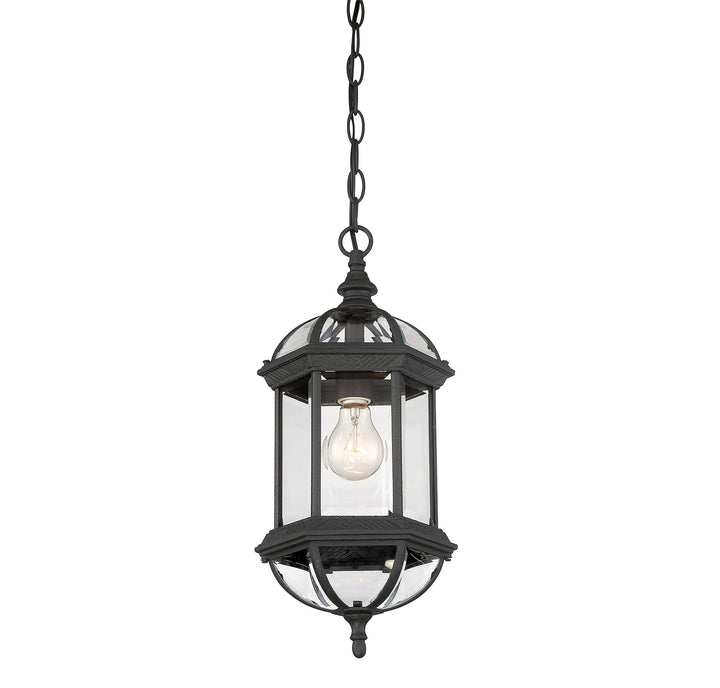 Savoy House Kensington 1-Light Outdoor Hanging Lantern - Model 5-0631-BK