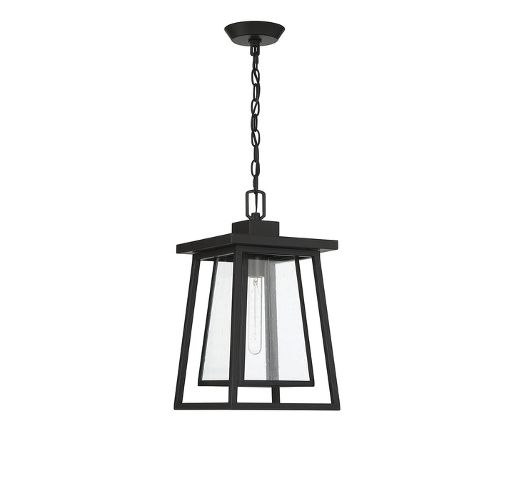 Savoy House Denver 1-Light Outdoor Hanging Lantern - Model 5-2025-BK
