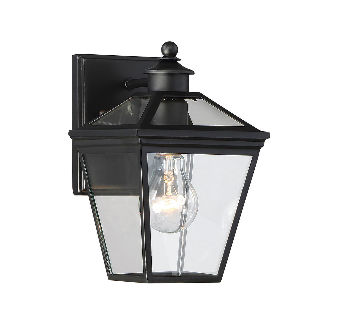 Savoy House Ellijay Outdoor Wall Lantern in Black